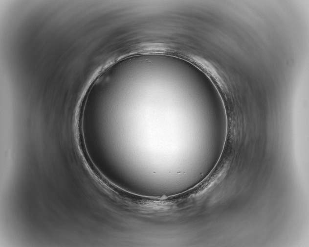 X0000096401475200801241151