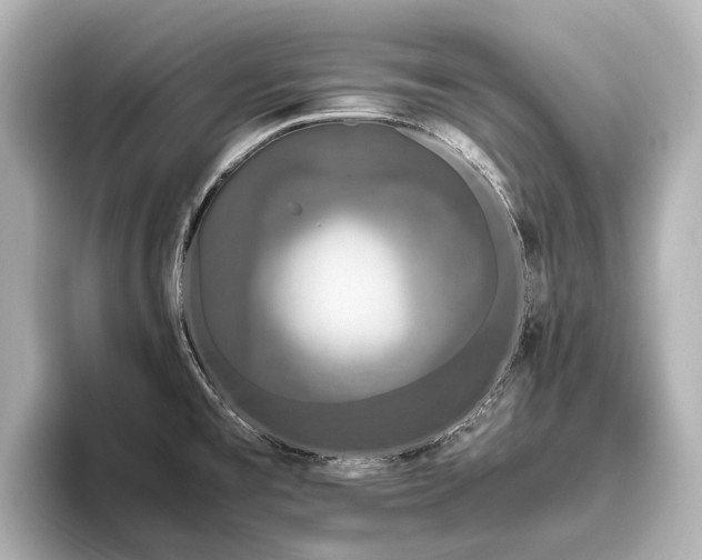 X0000096401477200801241151