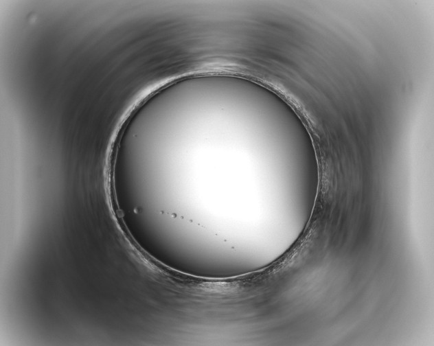 X0000096401478200801241151