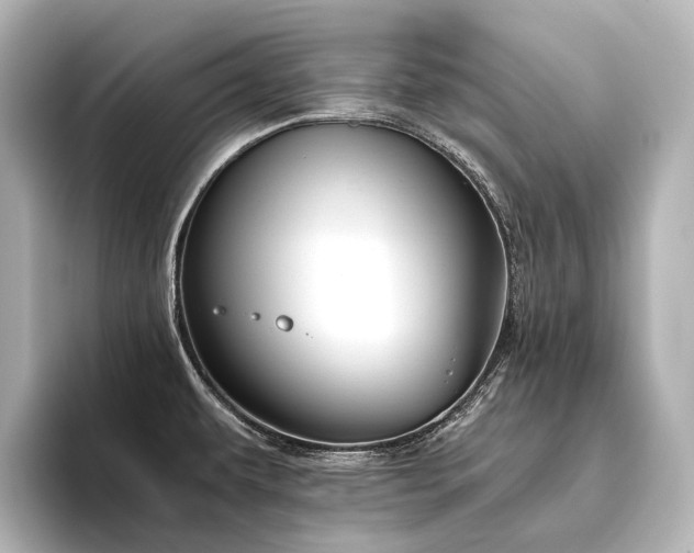 X0000096401479200801241151