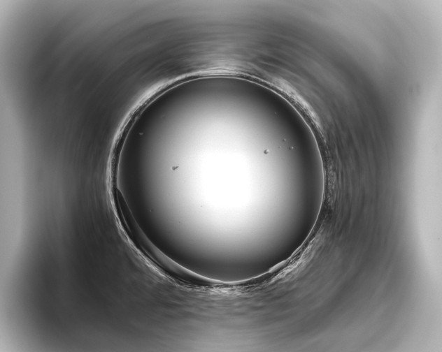 X0000096401480200801241151