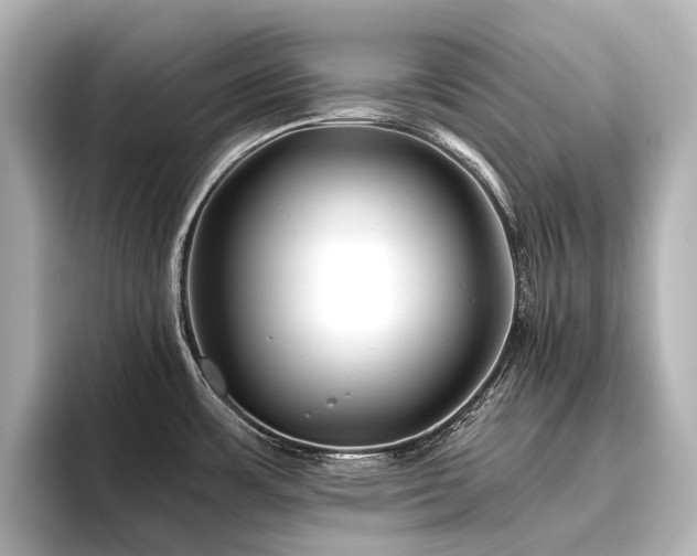 X0000096401483200801241151