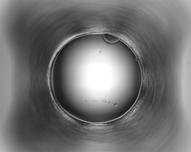 X0000096401486200801241151