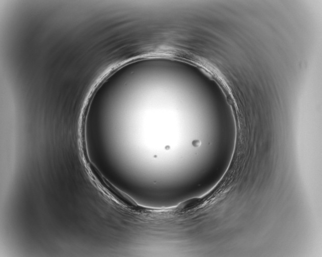 X0000096401488200801241151