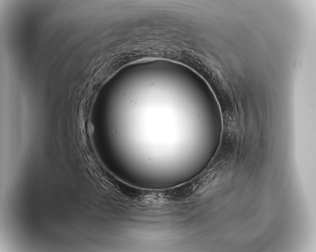 X0000096401489200801241150