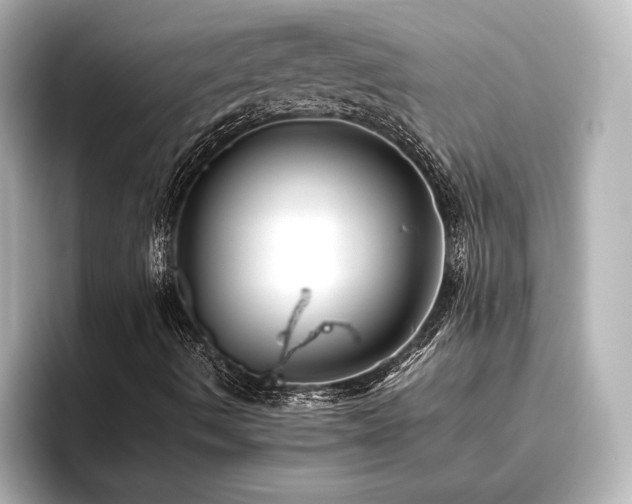 X0000096401490200801241150