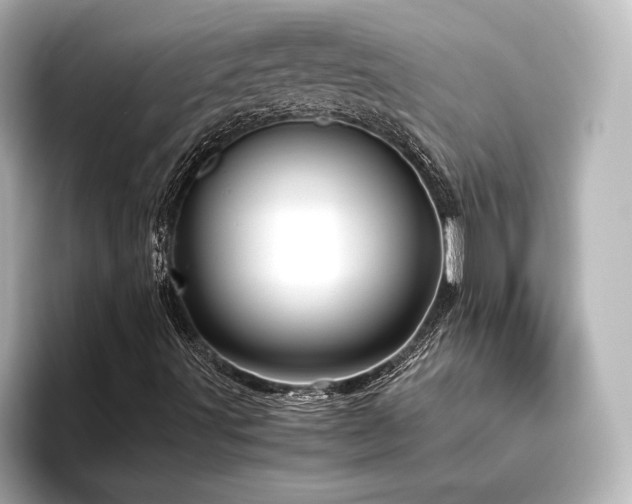 X0000096401491200801241150
