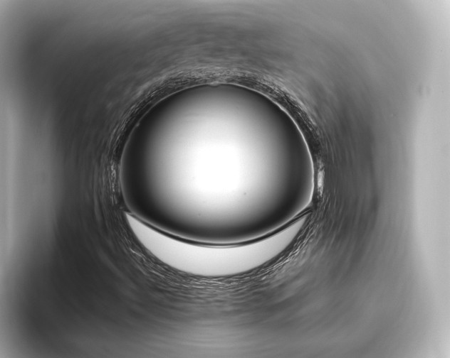 X0000096401492200801241150