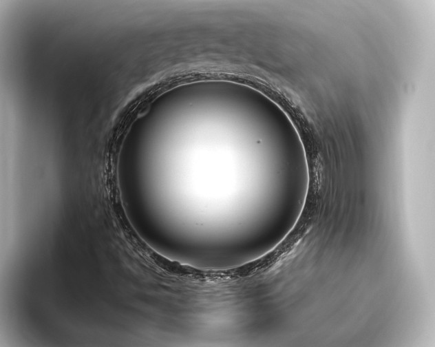 X0000096401494200801241150