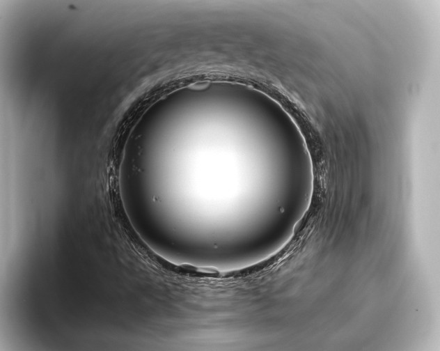 X0000096401495200801241150