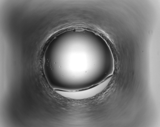 X0000096401496200801241150