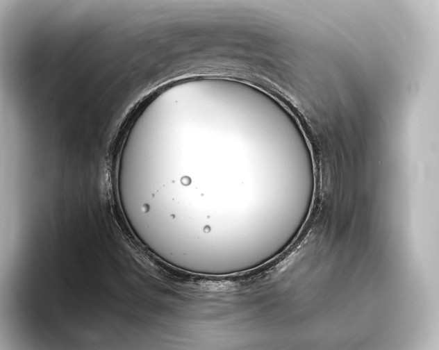 X0000096401498200801241150