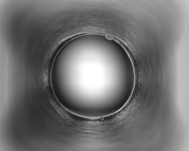 X0000096401499200801241150