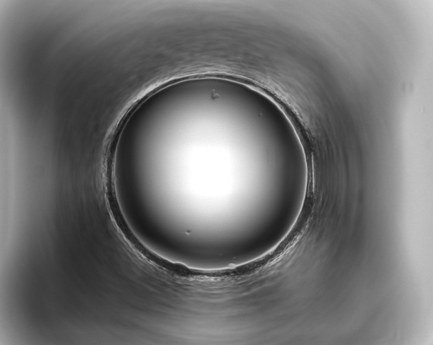 X0000096401500200801241150