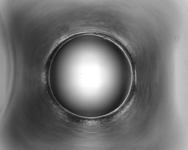 X0000096401501200801241150