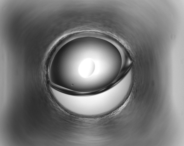 X0000096401502200801241150