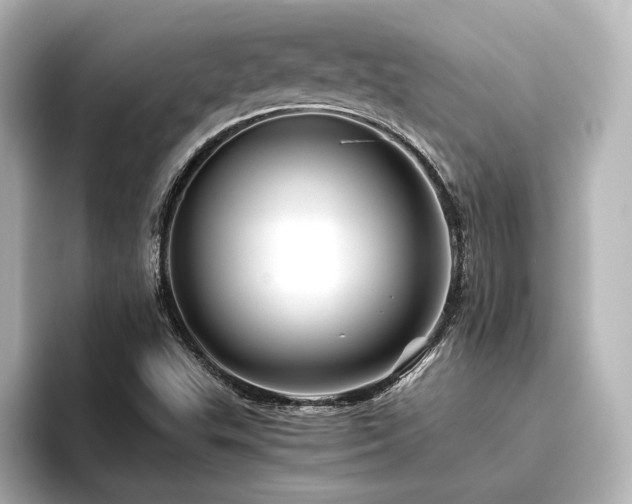 X0000096401503200801241150