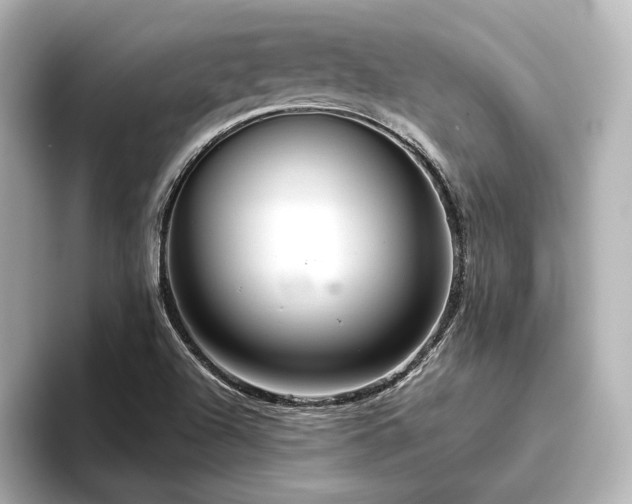 X0000096401504200801241150