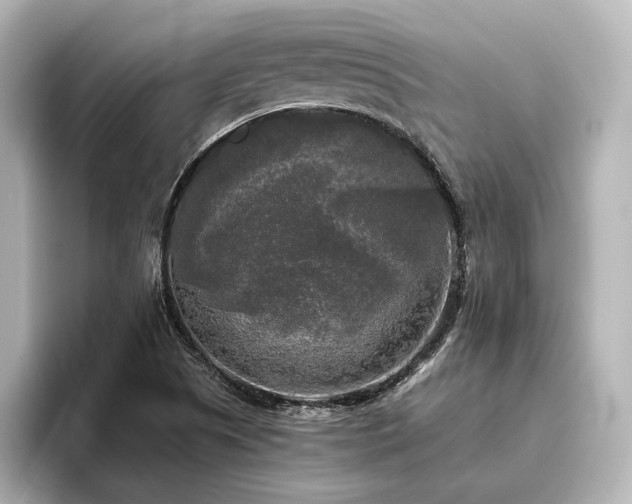 X0000096401505200801241150