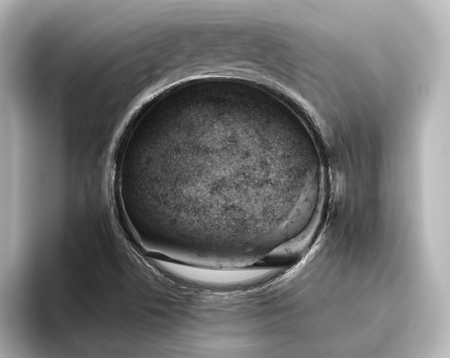 X0000096401506200801241150