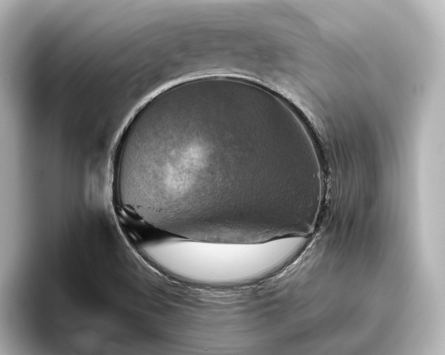 X0000096401508200801241150