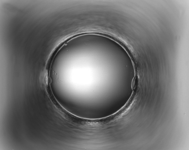 X0000096401509200801241150
