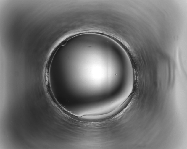 X0000096401510200801241150