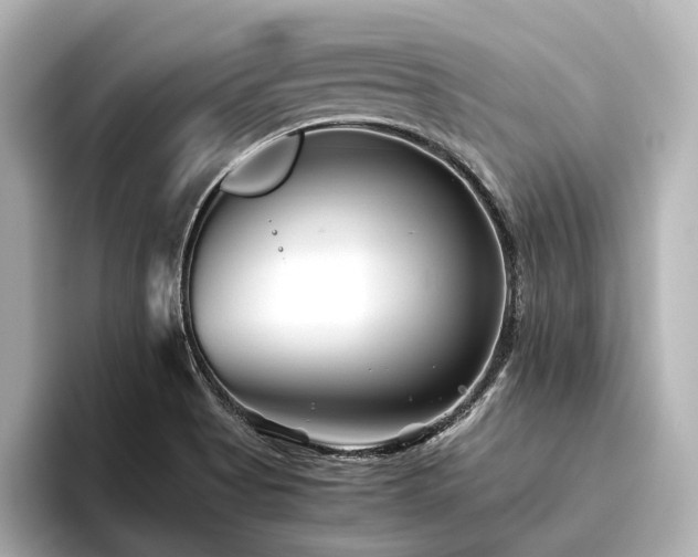 X0000096401513200801241150