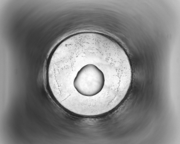 X0000096401514200801241150