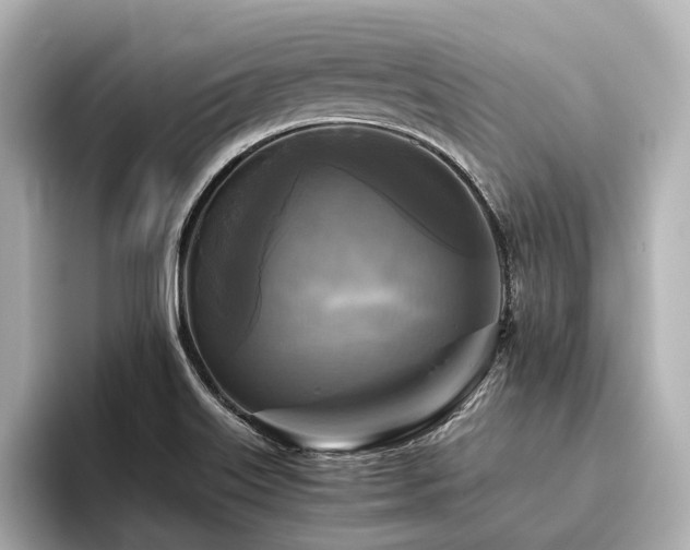 X0000096401515200801241150