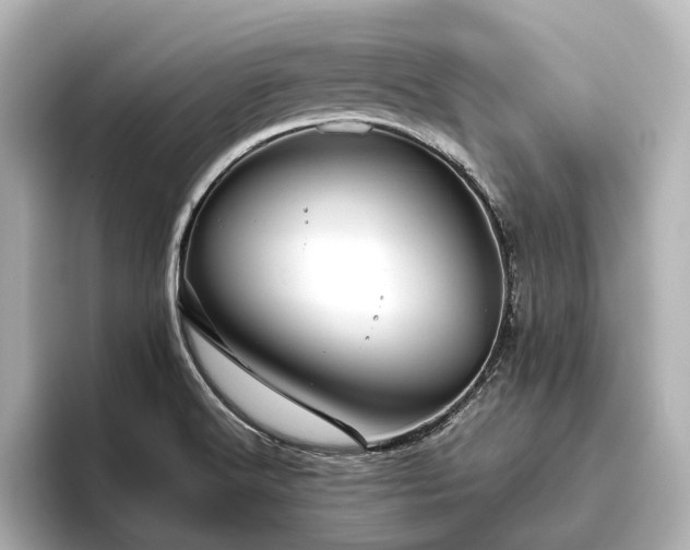 X0000096401516200801241150