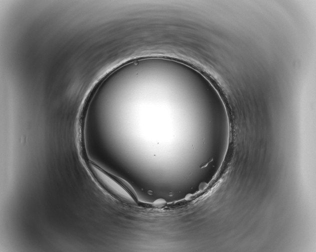 X0000096401517200801241150