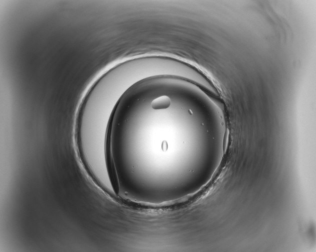 X0000096401518200801241150