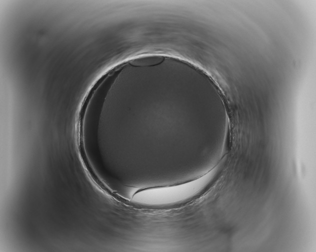 X0000096401519200801241150