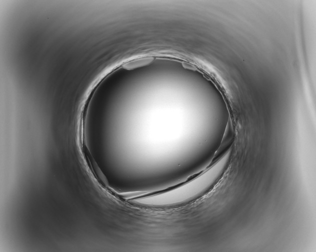 X0000096401520200801241150