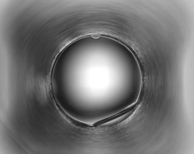 X0000096401521200801241150