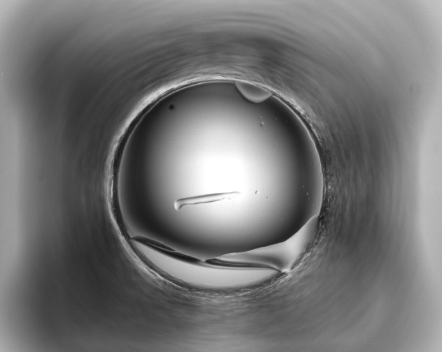 X0000096401523200801241150