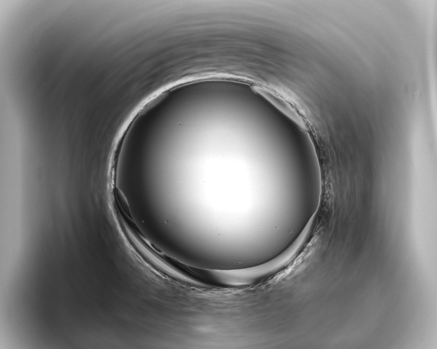 X0000096401524200801241150