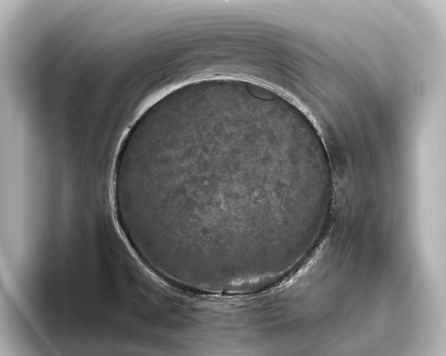 X0000096401525200801241150