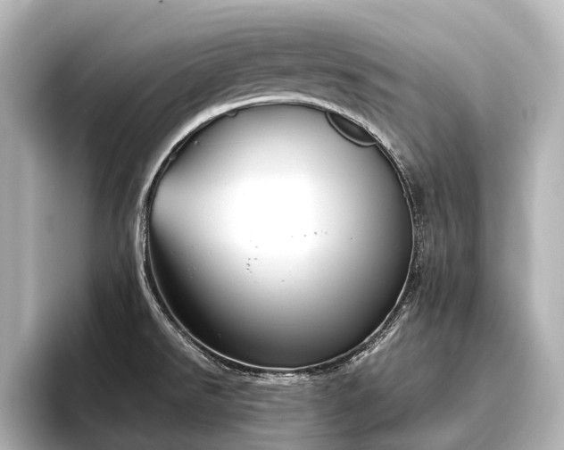 X0000096401526200801241150