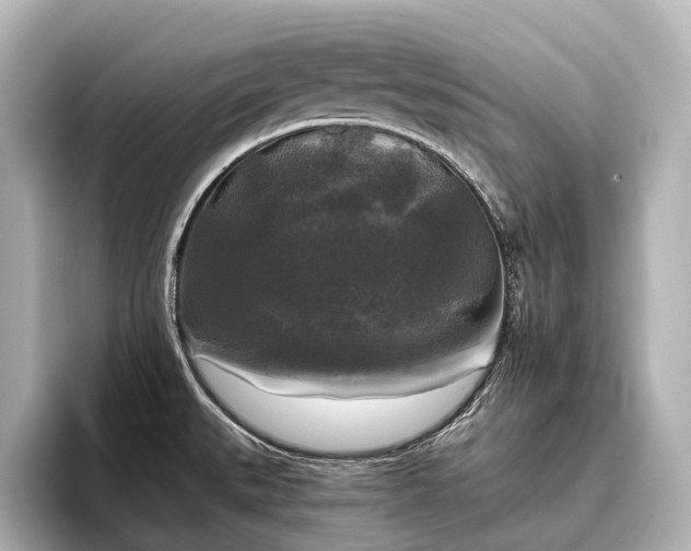 X0000096401527200801241150