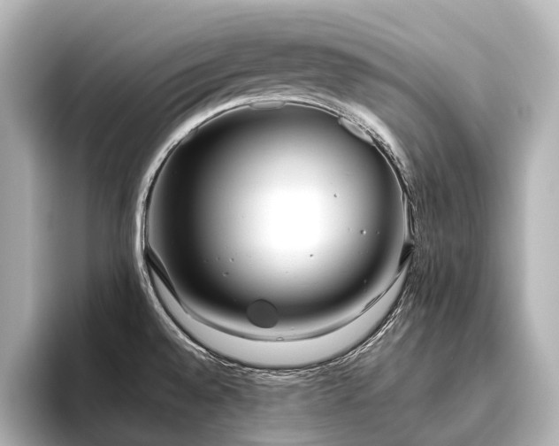 X0000096401528200801241150