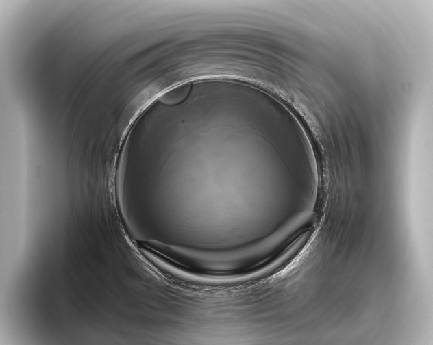 X0000096401529200801241150