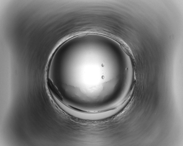 X0000096401530200801241150