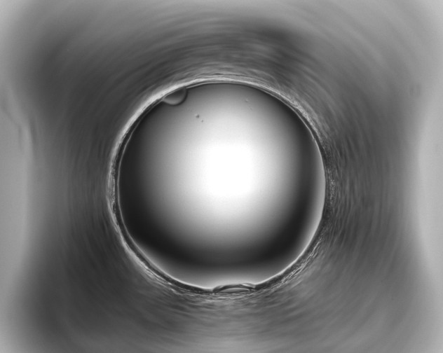 X0000096401531200801241150