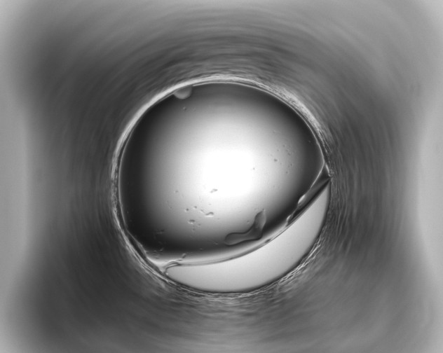 X0000096401532200801241150