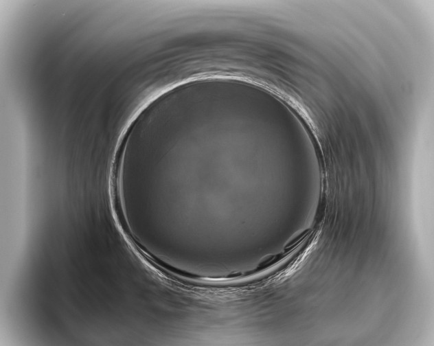 X0000096401533200801241150