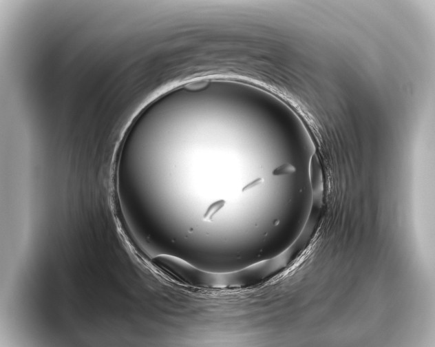 X0000096401534200801241150