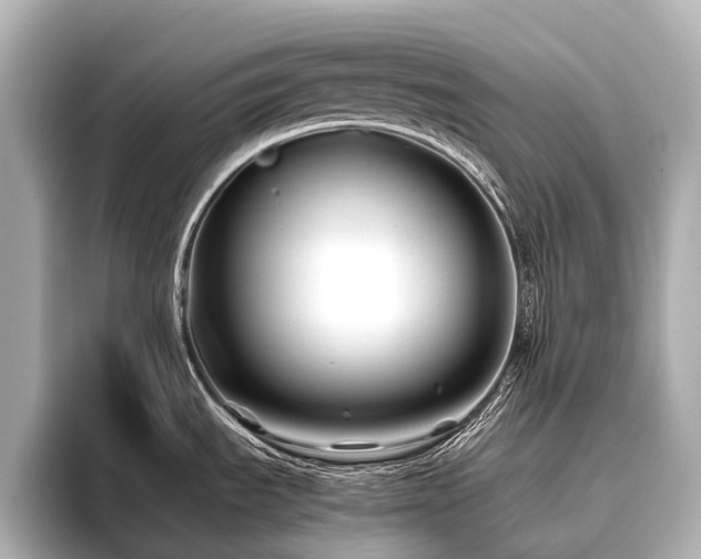 X0000096401535200801241151