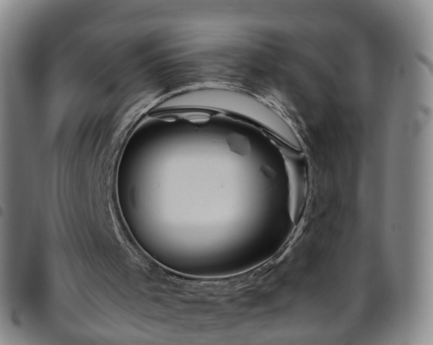 X0000096400001200801311401